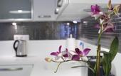 Туры в отель Home Stay Home Valikonagi