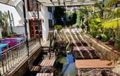 Туры в отель Elif Hanim Hotel & Spa