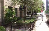 Туры в отель DeWitt Place