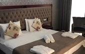 Туры в отель Capitol Hotel