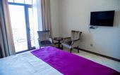 Туры в отель Capitol Hotel