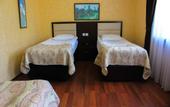 Туры в отель Vilesh Palace Hotel