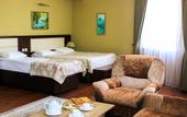 Туры в отель Vilesh Palace Hotel