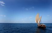 Туры в отель Dhoni Island Resort
