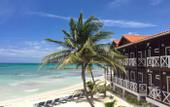 Туры в отель Mangos Jamaica