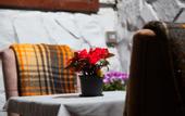 Туры в отель Old Castle Boutique Hotel
