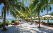 Туры в отель Diamond Bay Resort & Spa