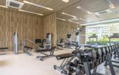 Туры в отель The Hill Resort