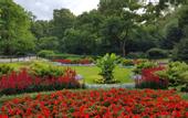 Туры в отель Garden Living