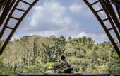 Туры в отель The Kayon Jungle Resort