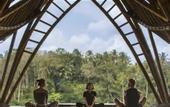 Туры в отель The Kayon Jungle Resort