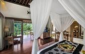 Туры в отель The Kayon Jungle Resort