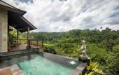 Туры в отель The Kayon Jungle Resort