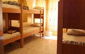 Туры в отель Palm Hostel