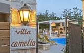 Туры в отель Villa Camellia