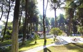 Туры в отель Forest Sani Villa