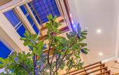 Туры в отель Kuredhi Beach Inn