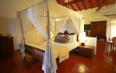 Туры в отель Dickwella Resort & Spa