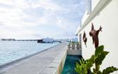 Туры в отель Riu Palace Maldivas