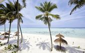 Туры в отель Riu Atoll