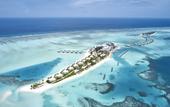 Туры в отель Riu Atoll