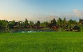 Туры в отель Arya Villas Ubud