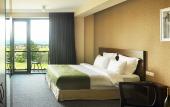 Туры в отель AuRoom Bakuriani Resort