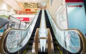 Туры в отель Umeda OS Hotel