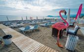 Туры в отель Campus Hill Hotel