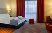 Туры в отель Park Inn by Radisson Lille Grand Stade