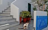 Туры в отель Alex Mykonos Hotel
