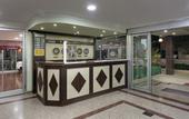 Туры в отель Dinc Hotel Lara