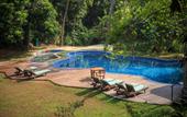 Туры в отель Jungle Village by Thawthisa