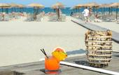 Туры в отель Dion Palace Resort & Spa