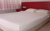 Туры в отель Mola Hotel