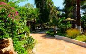 Туры в отель Erendiz Garten Hotel