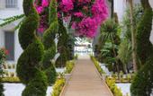 Туры в отель Moyo Luxury Boutique Hotel & Beach