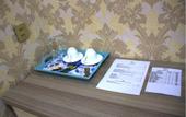 Туры в отель Damla Hotel
