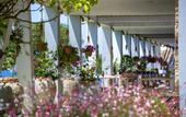 Туры в отель Doria Hotel & Yacht Club