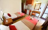 Туры в отель Vergas Hotel Malia