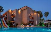 Туры в отель Dionisus Hotel Belek & Spa