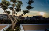 Туры в отель Athens Mansion Luxury Suites