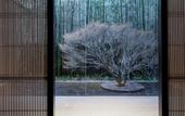 Туры в отель The Thousand Kyoto