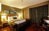 Туры в отель Park Dedeman Bostanci