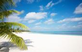 Туры в отель LUX* South Ari Atoll