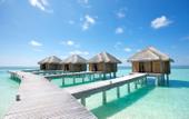 Туры в отель LUX* South Ari Atoll