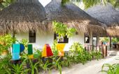 Туры в отель LUX* South Ari Atoll