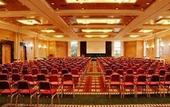 Туры в отель Divani Meteora Hotel
