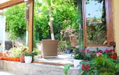 Туры в отель Diva's Hotel