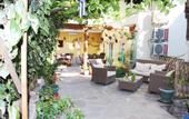 Туры в отель Diva's Hotel